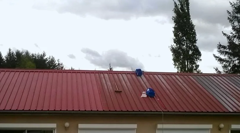 Peinture & protection